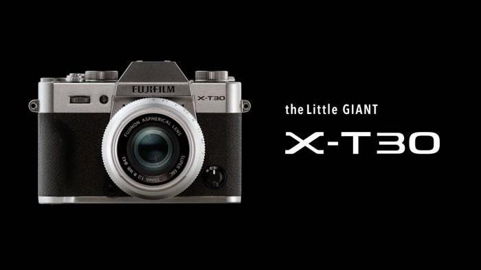 Fujifilm x t30 announced