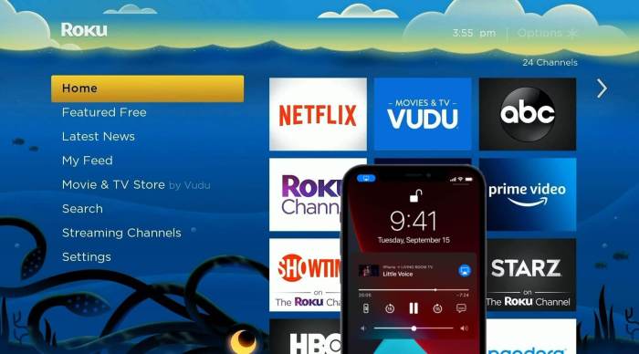 Roku in talks airplay 2