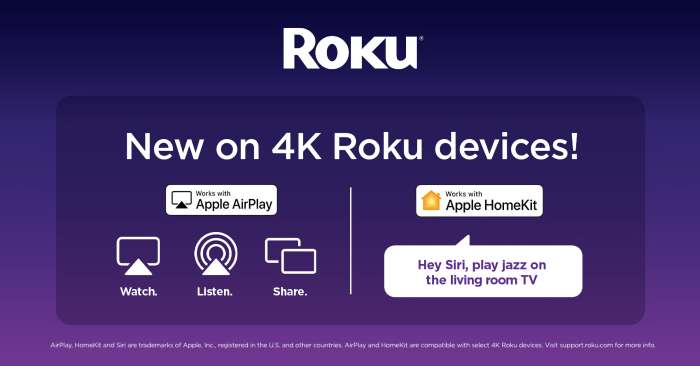 Roku in talks airplay 2
