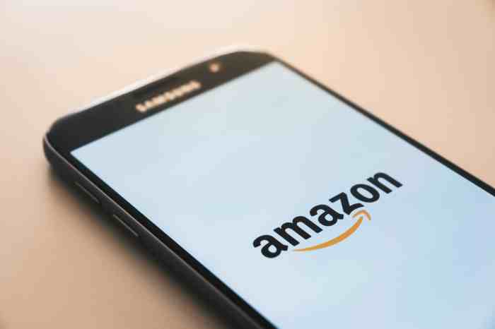 Amazon vision make shipments net zero carbon