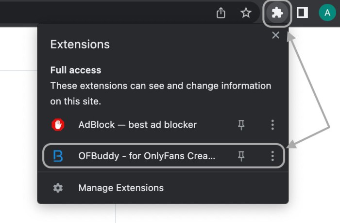 Chrome bug prevent extensions working properly