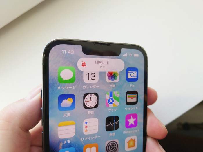 Iphone dominating japanese market