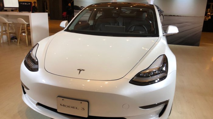 Tesla model 3 was worlds best selling ev last year