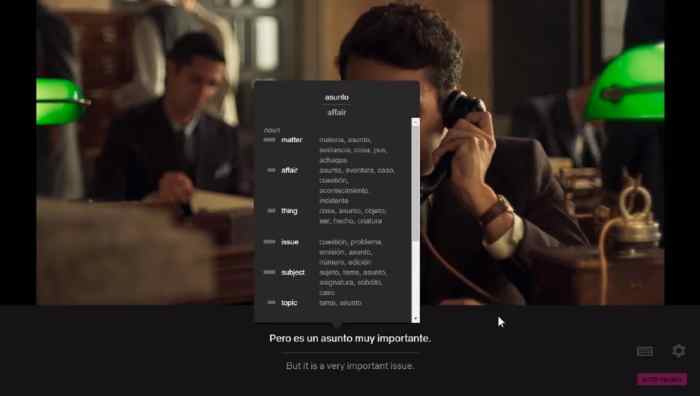 Extension learn new language while netflix